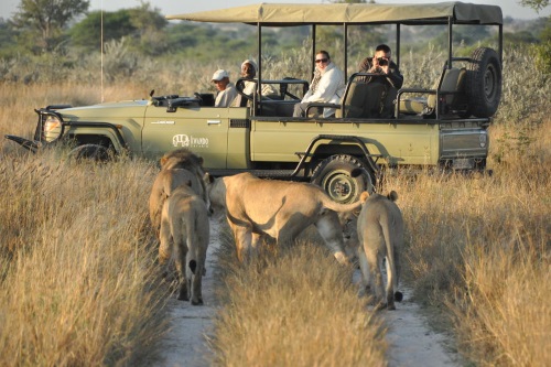 Kwando Tau Pan Camp gamedrive